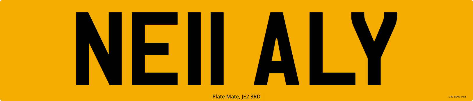 NE11 ALY