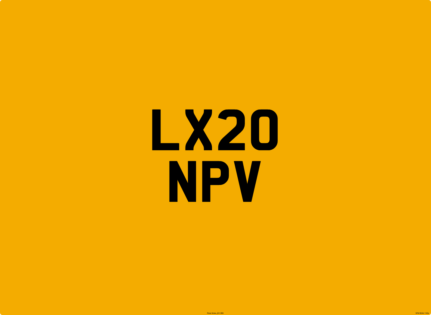 LX20 NPV