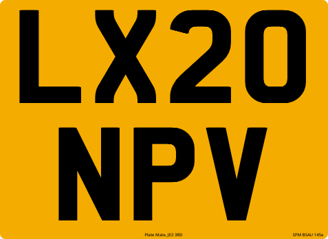 LX20 NPV