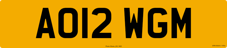 AO12 WGM